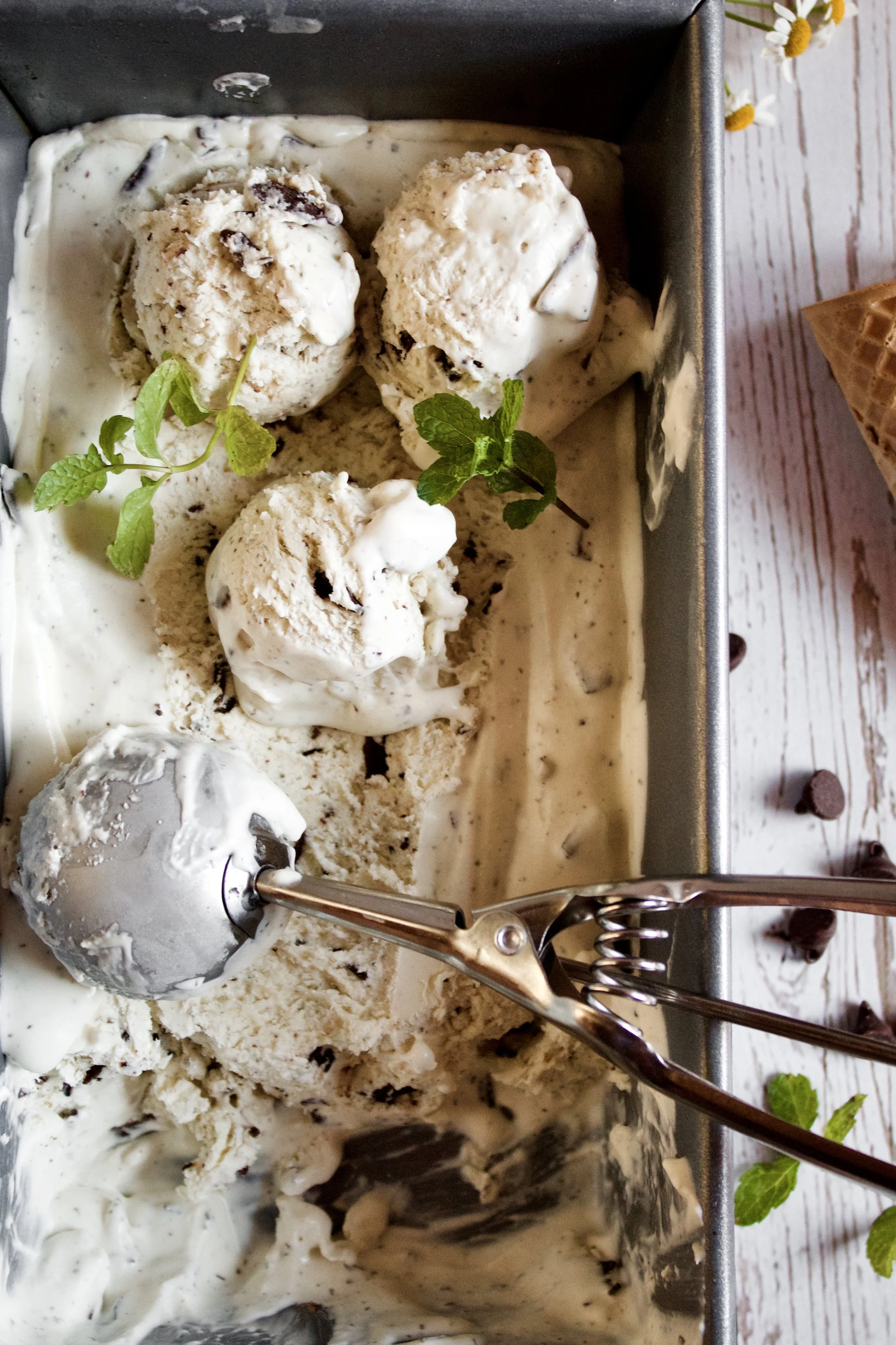 No Churn Fresh Mint Chip Ice Cream Poetry Pies